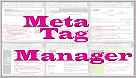 Meta Tag Manager